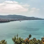 Gelso Viola